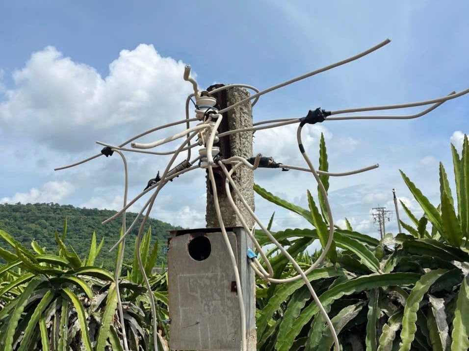 Bóng đèn và dây bị trộm cắt trụi
