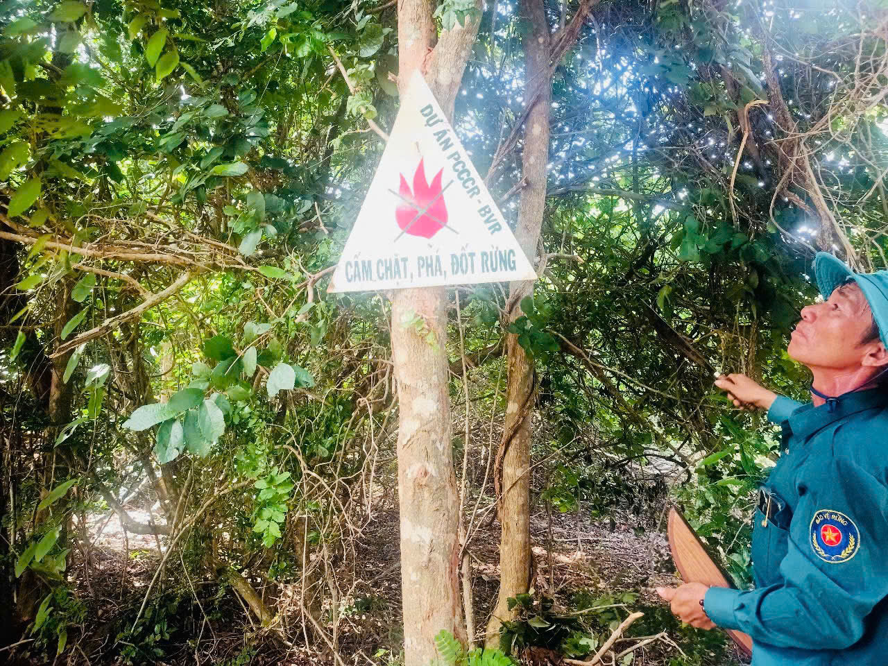 Tuyên truyền về PCCCR