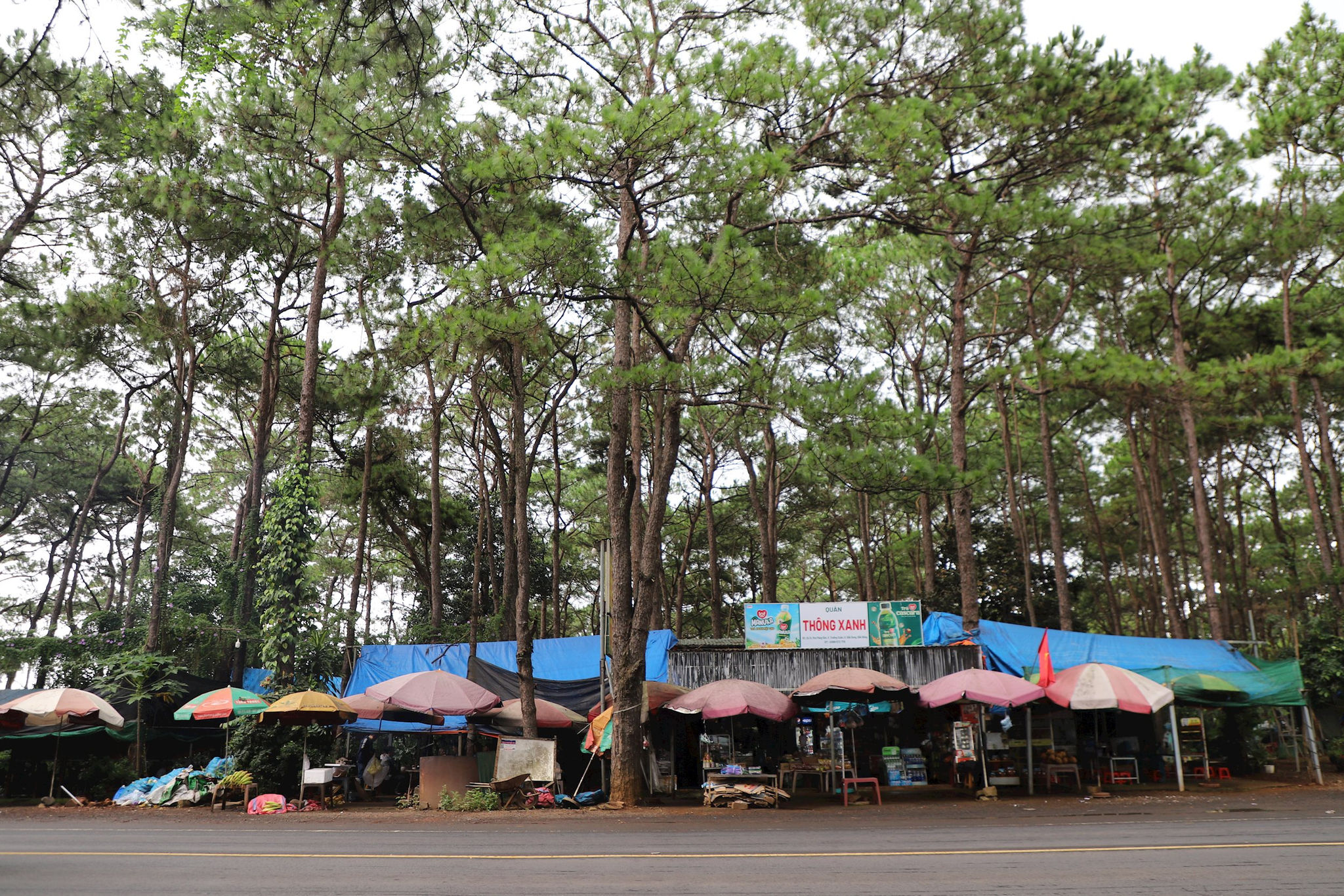 Công trình vi phạm có diện tích lớn, nằm trong rừng thông, dọc quốc lộ 14