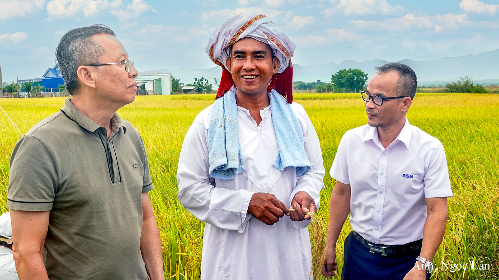 Người Chăm xã Bắc Bình tham gia mô hình canh tác lúa thông minh giảm phát thải khí nhà kính (ảnh N. Lân)