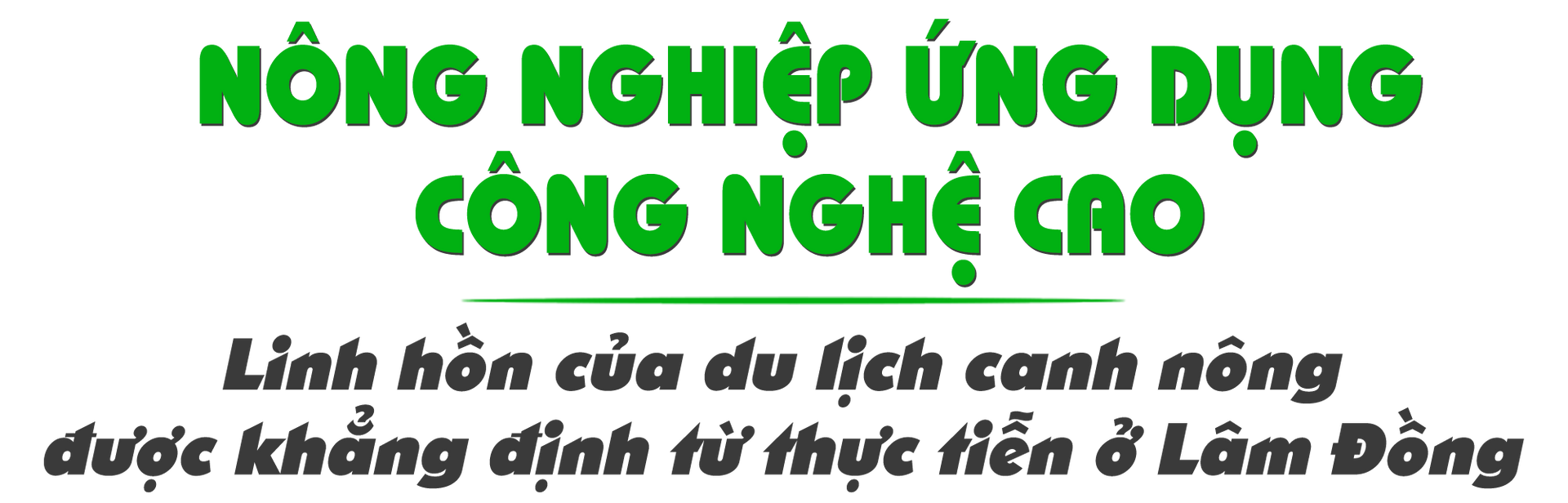 tit-new-3(1).png