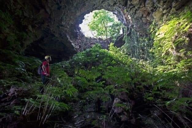 cave mouth