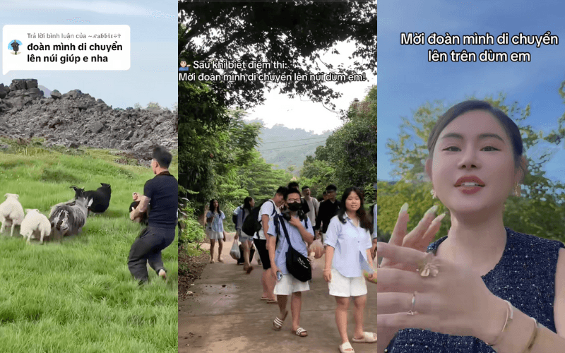 Trên Tiktok tràn ngập trend 