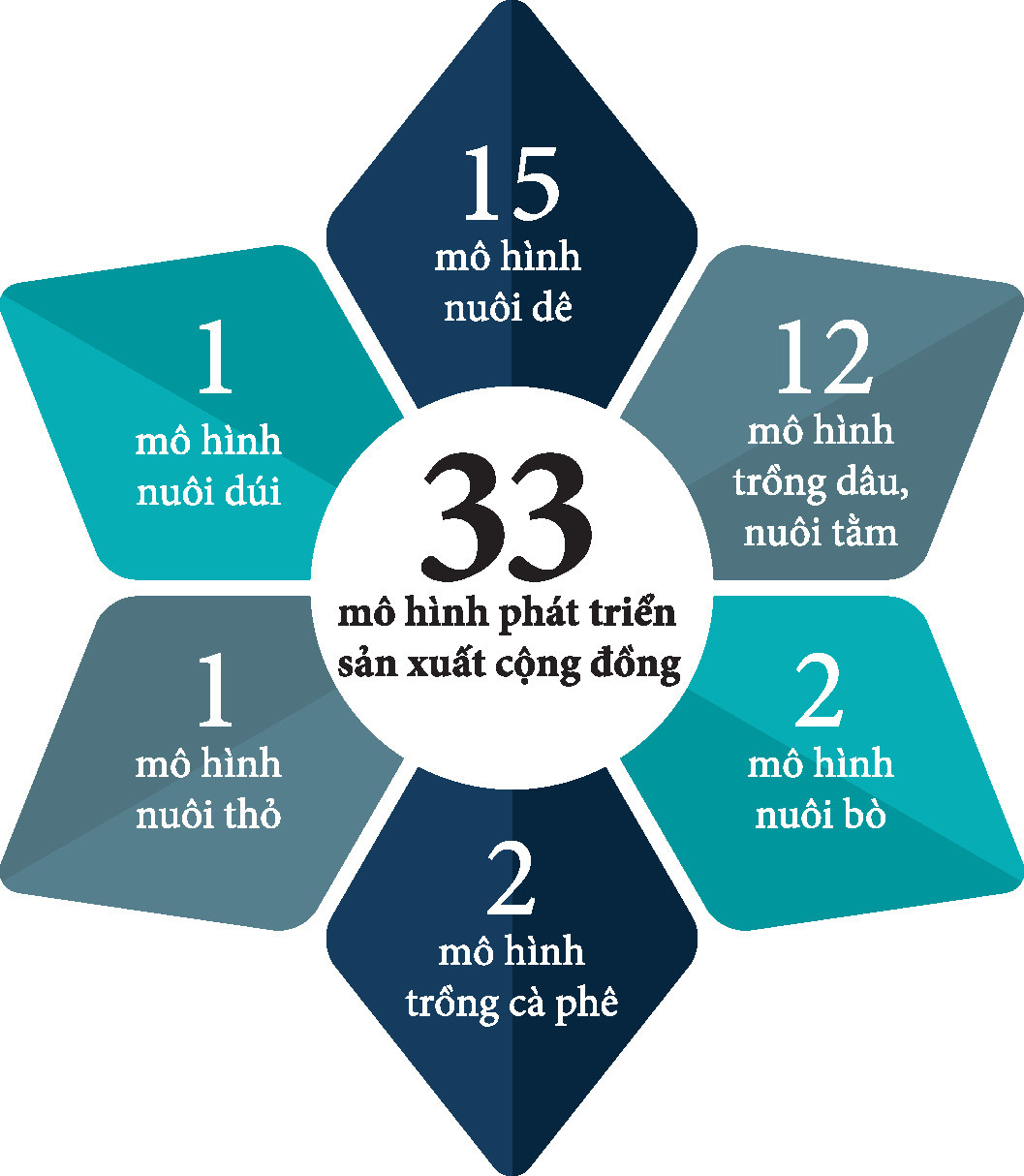 info_33-mo-hinh.jpg
