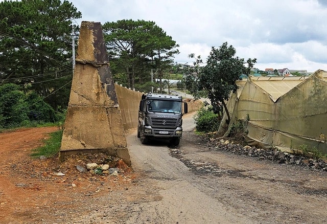 da-lat-1753006598984629214222.jpg