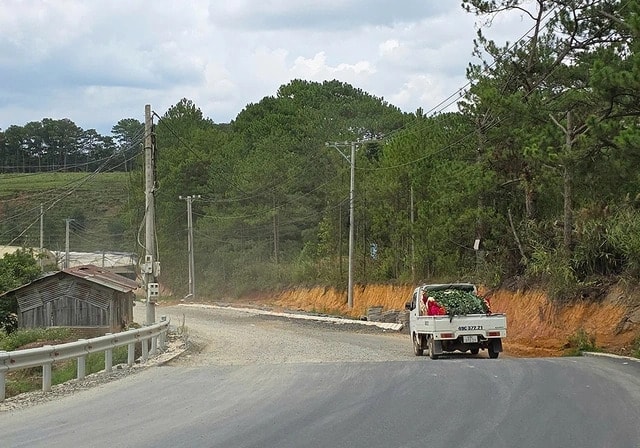 da-lat1-1753006598987749456573.jpg