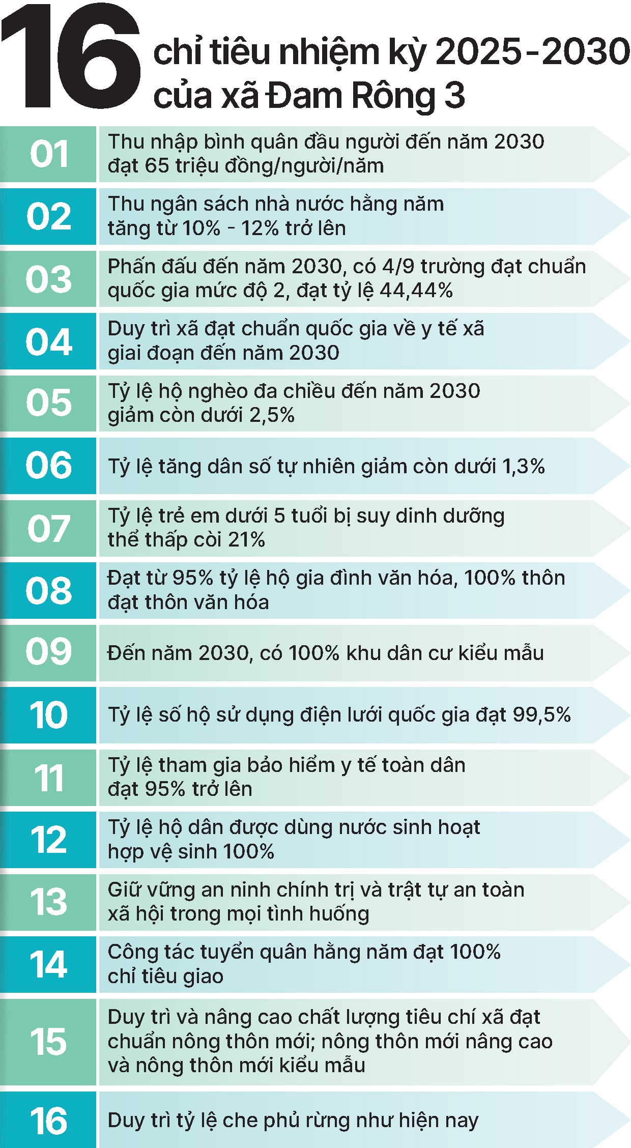 info_dh_dam-rong-3.jpg