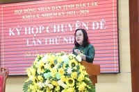 La subsecretaria permanente del Comité Provincial del Partido y presidenta del Consejo Popular Provincial de Dak Lak, Cao Thi Hoa An, habló en la reunión.
