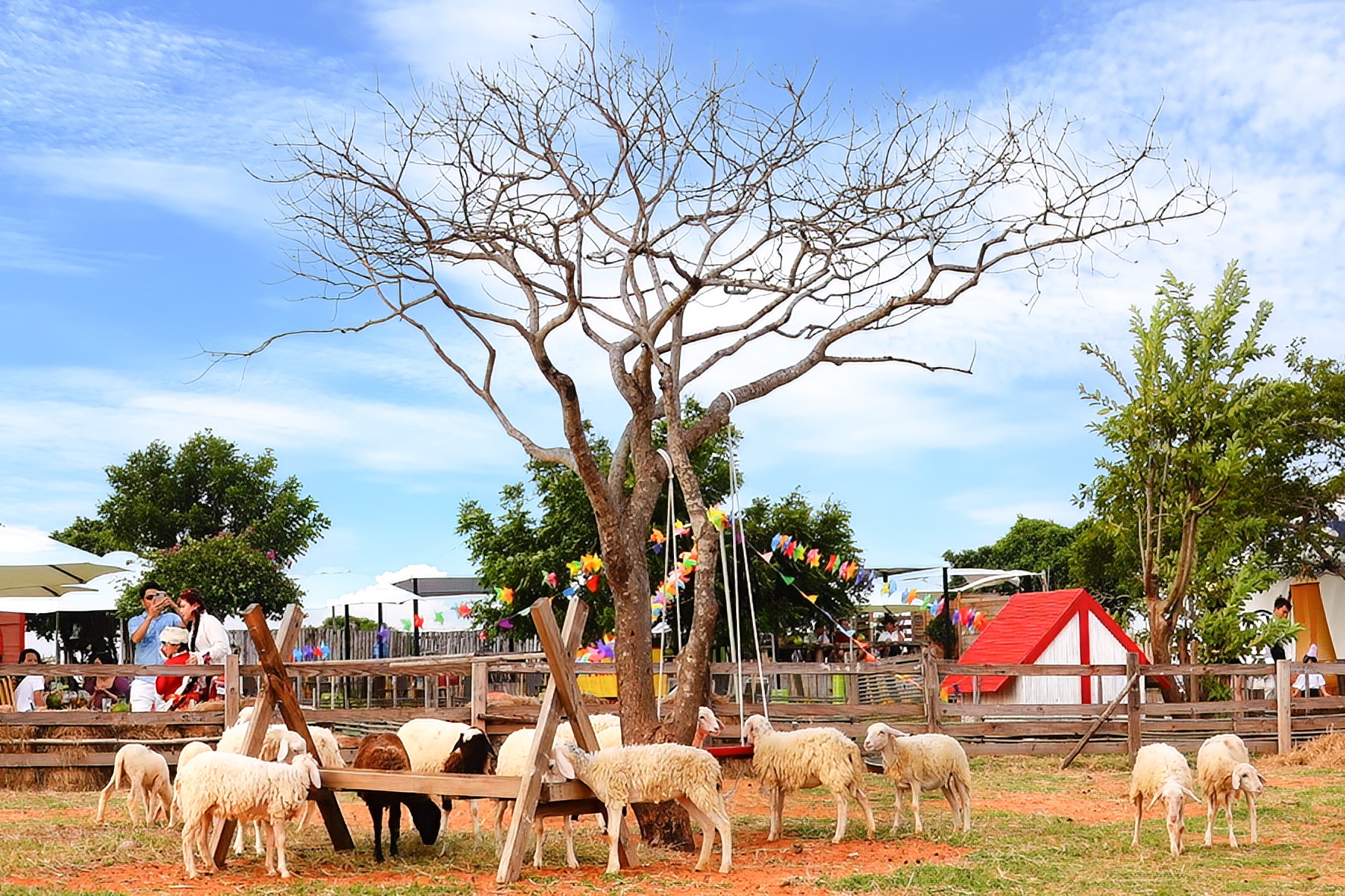 Picnic in Hoa Thang, Lam Dong (រូបថតដោយ N. Lan) (2)