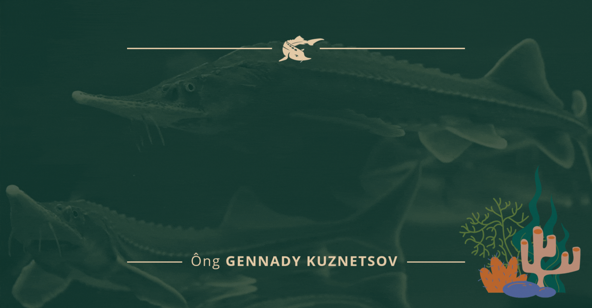 box2-new.gif