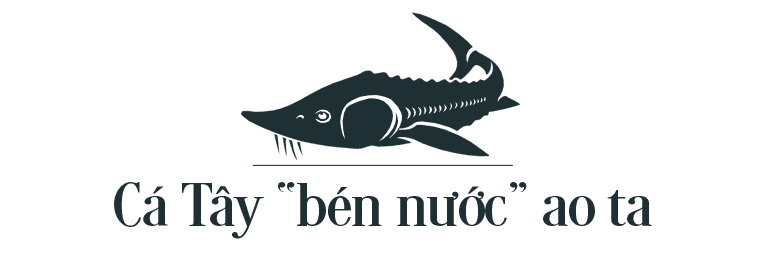 tit2-new1.png