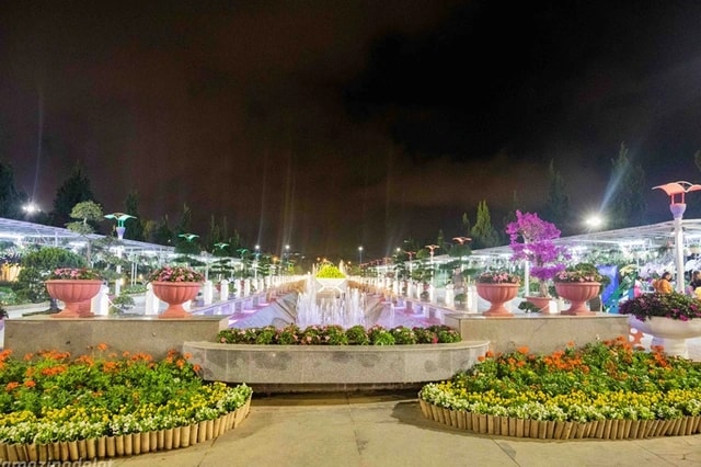 hinh-1-vuon-hoa-dalat-ban-dem-17533533995571930679116.jpg