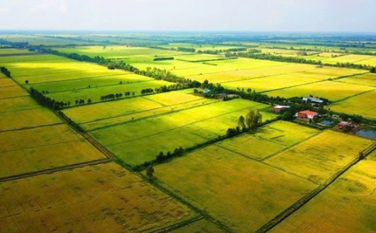 Các điều khoản điểm Luật Đất đai 2024 bị bãi bỏ (dự kiến)