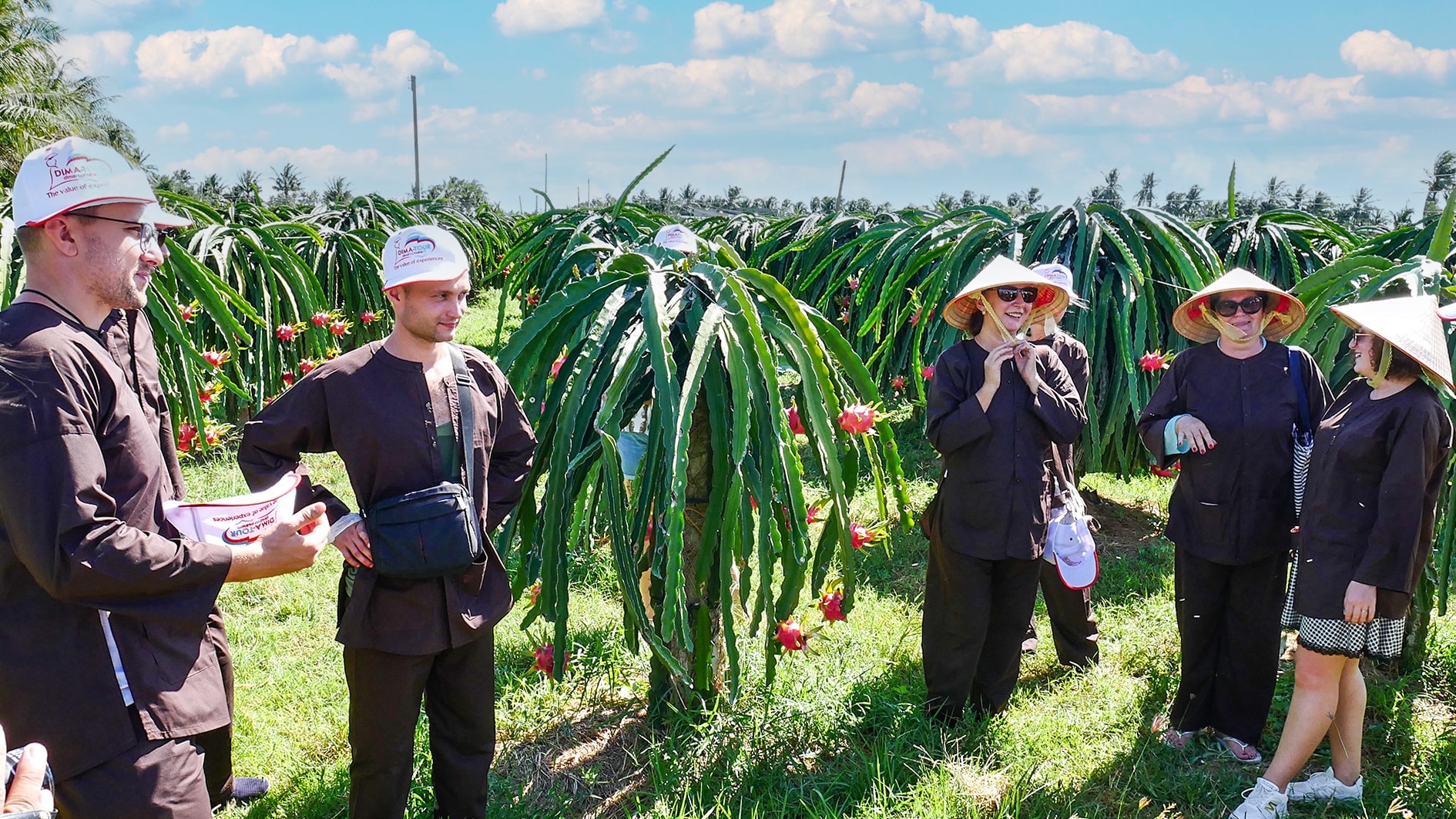 Du khách quốc tế tham quan vườn thanh long
