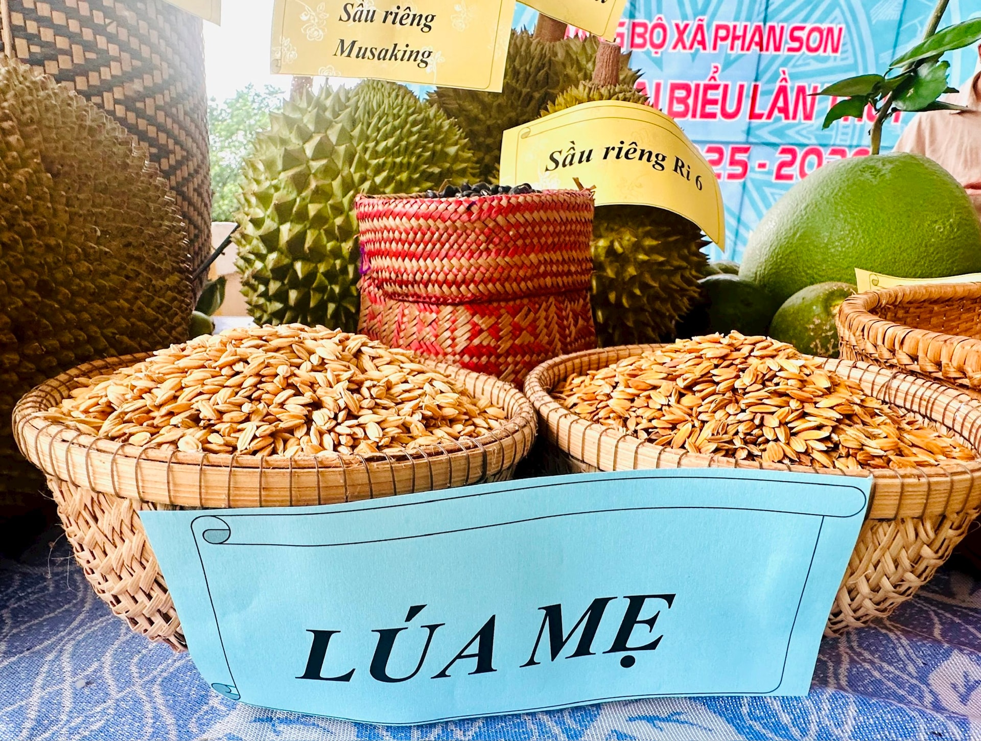 Sản phẩm nông nghiệp của điịa phương