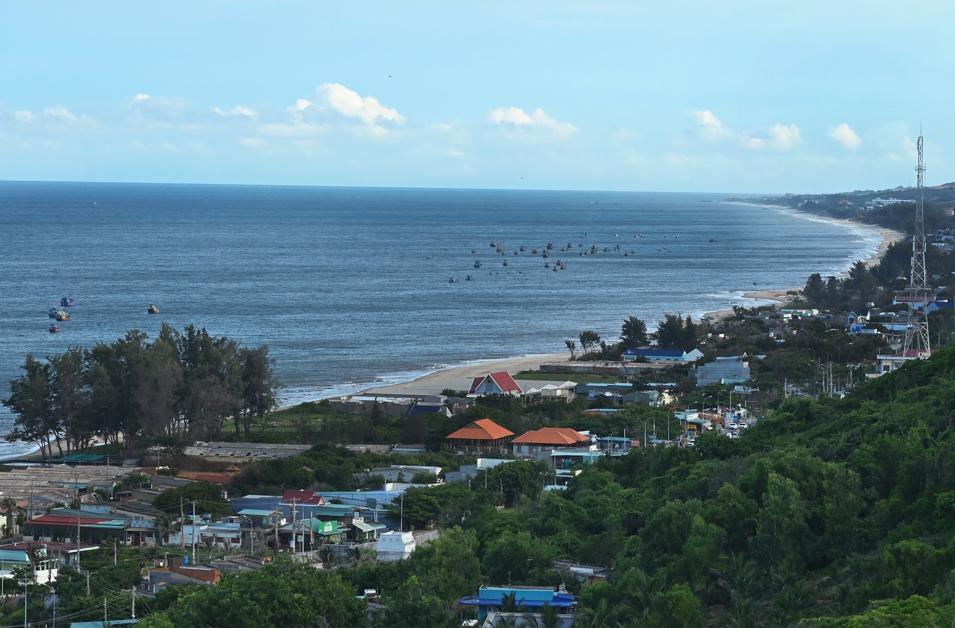 DSC_2432 (1)