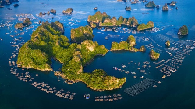 Hướng dẫn thực hiện 12 nhiệm vụ, thẩm quyền mới của UBND, Chủ tịch UBND cấp xã trong lĩnh vực BIỂN và HẢI ĐẢO- Ảnh 1.