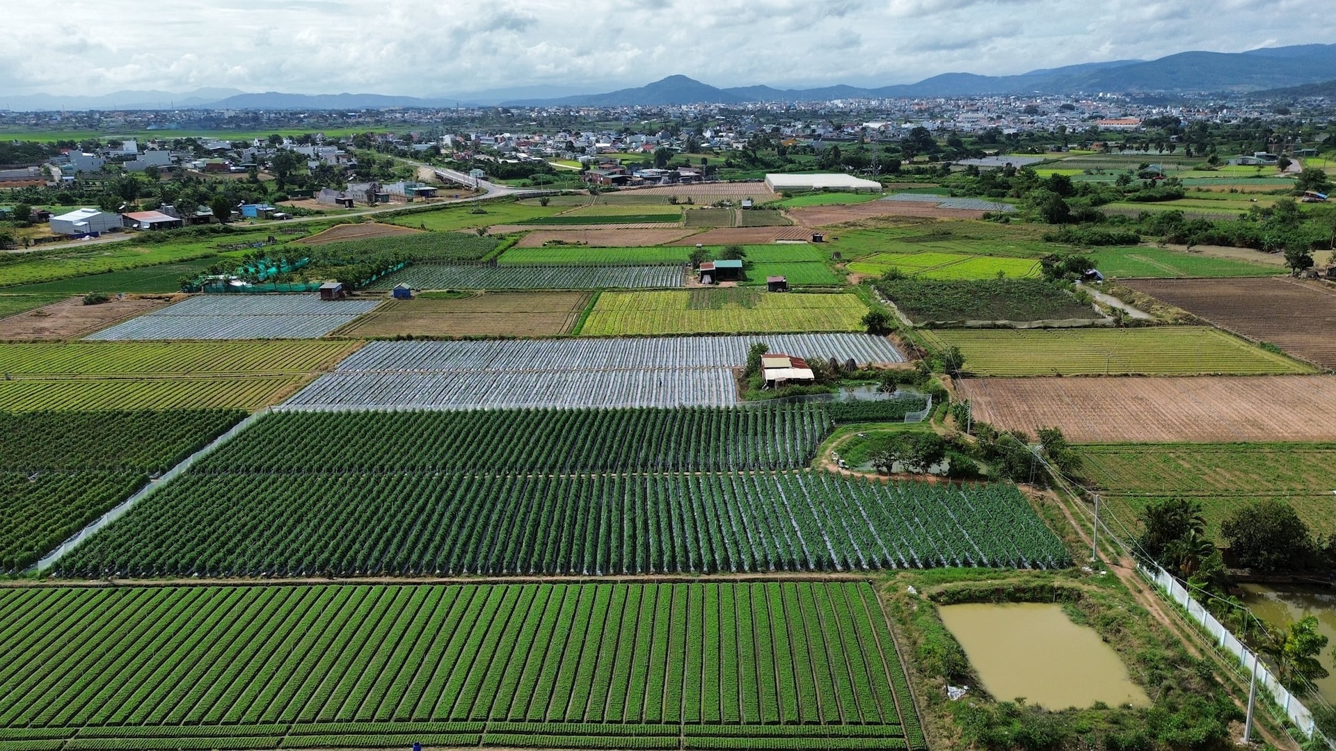 dji_fly_20250724_144208_950_1753342937946_photo_optimized.jpg
