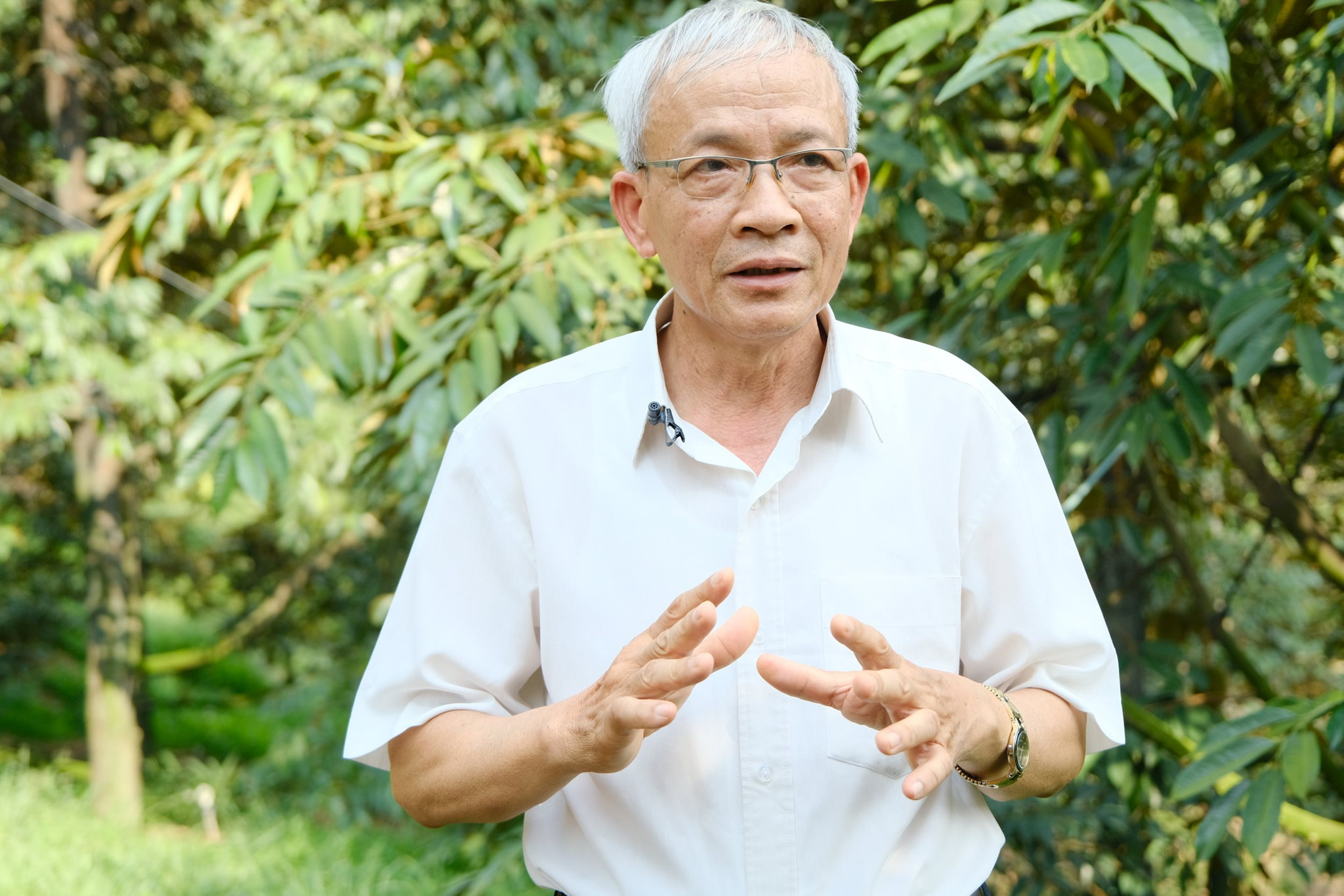 Ông Nguyễn Thanh Sơn, Giám đốc Hợp tác xã nông nghiệp Đạ M'Ri