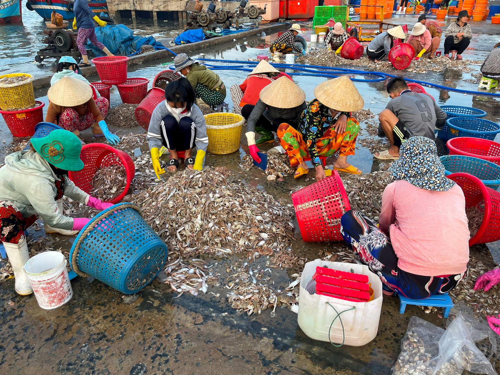 cảng cá
