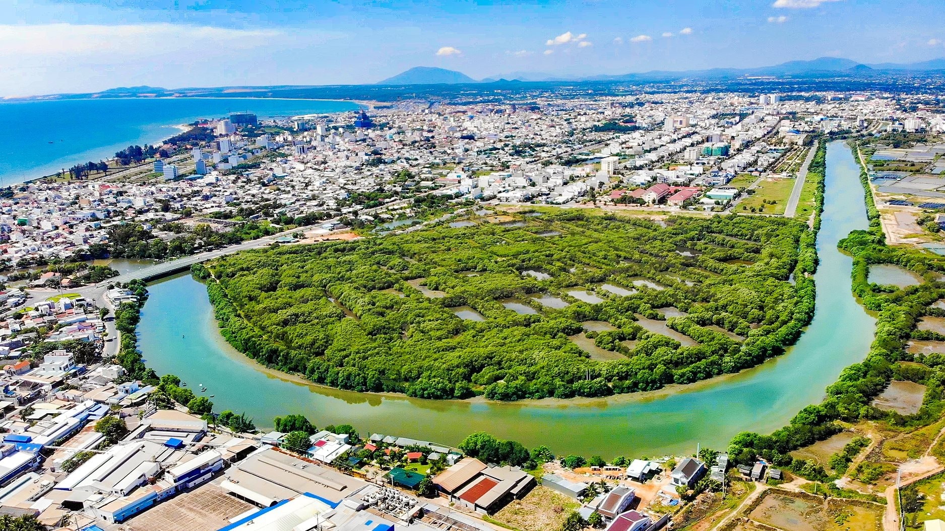 toan-canh-rung-ngap-man-phan-thiet-anh-n.-lan-.jpg