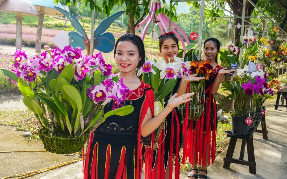 giải đặc biệt.jpg