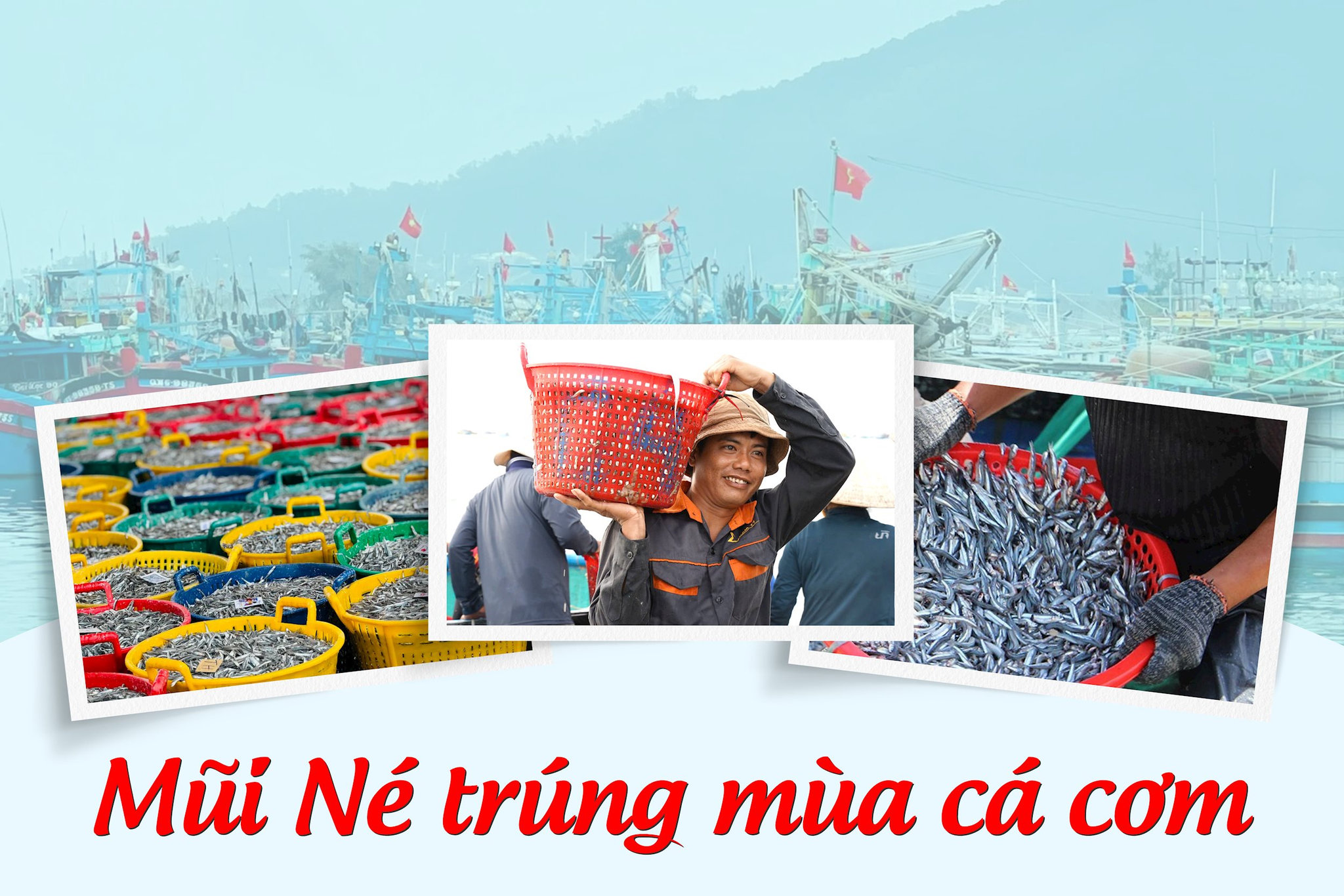 MAU MT (8)moi nhat