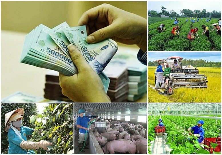 quang-nam-phai-co-ke-hoach-giai-phap-cu-the-de-day-nhanh-giai-ngan-von-chuong-trinh-muc-tieu-quoc-gia-20240404163152-17549049369981055941417.jpg