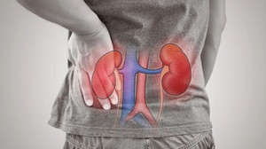 Ba món ăn giúp bồi bổ thận: Ăn 3 ngày/lần, cải thiện sức khỏe, tránh biến chứng 