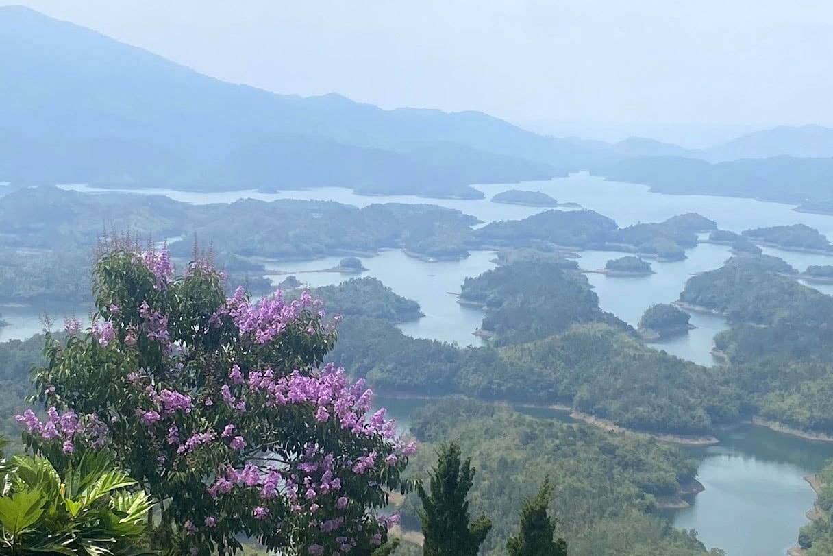 chinh-quyen-2-cap-cua-tinh-lam-dong-tiep-tuc-bao-ve-an-toan-tuyet-doi-cho-dan-cu-vung-ha-du-trong-mua-mua-lu-2-.jpg