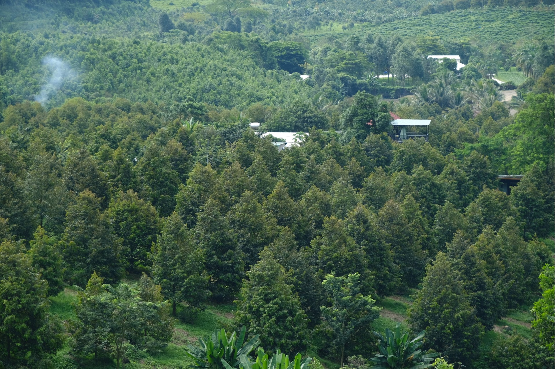 dscf3506.jpg