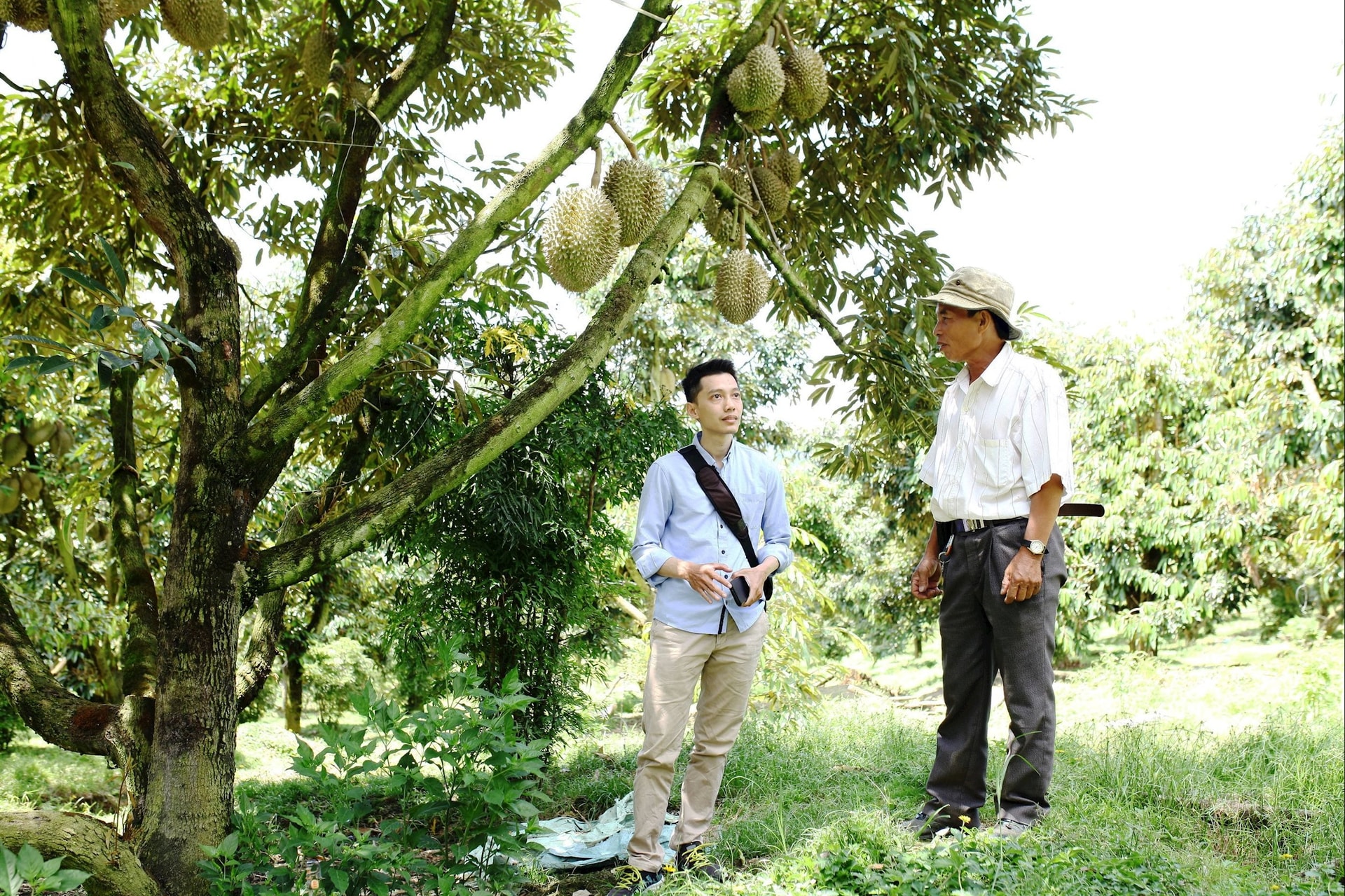 Ông Vũ Văn Bằng 