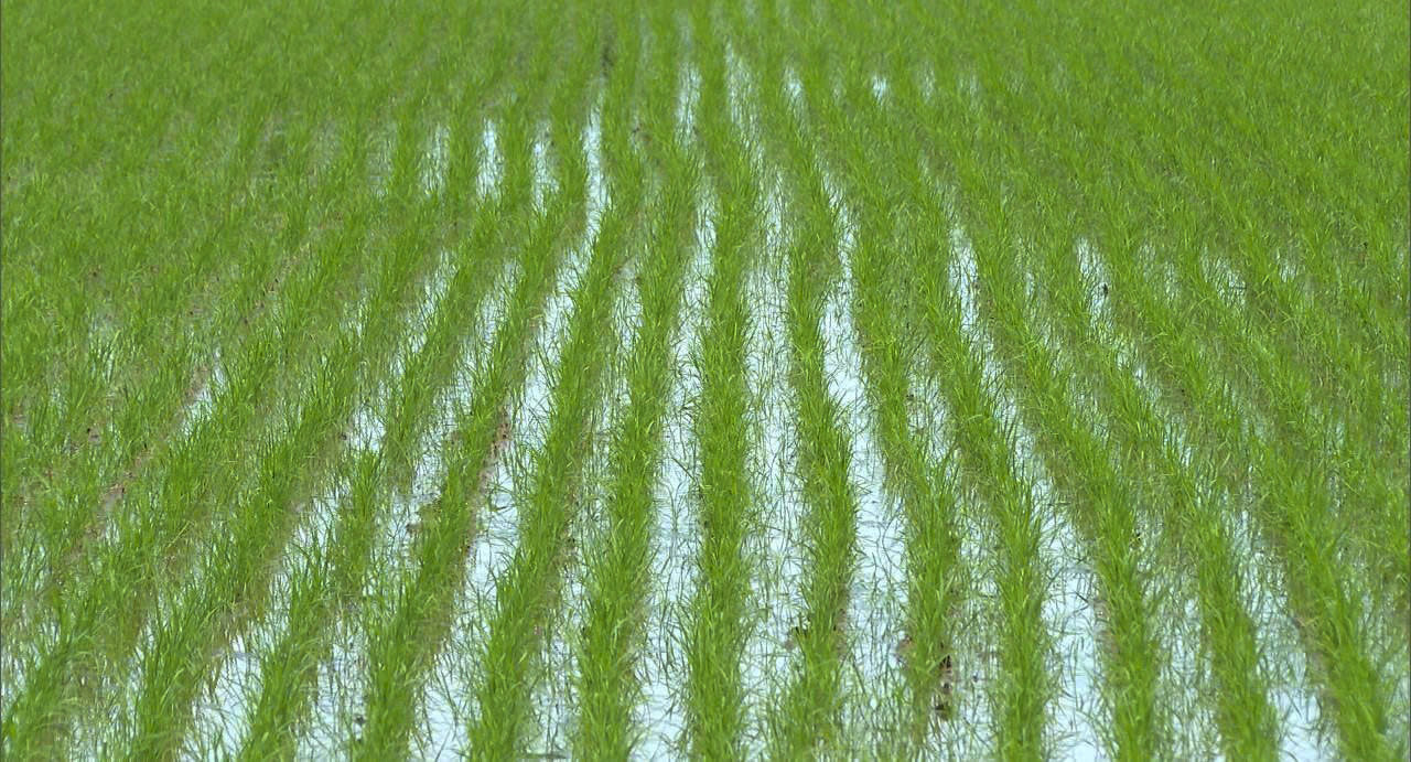 z6917528544079_ed10e0799203f108c1364179f5308e87.jpg