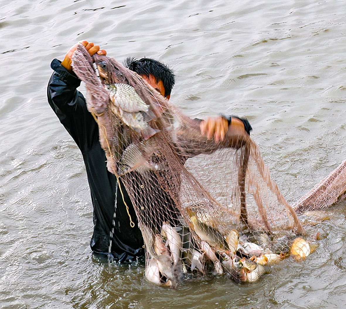 buy-fish-photo-n.-lan-10-.jpg