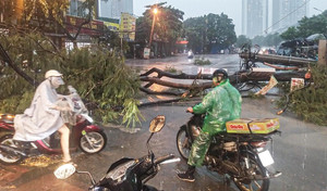 Chuyên gia: Bão số 5 Kajiki mạnh lên cấp 14, có thể tương đương bão Yagi khi đổ bộ