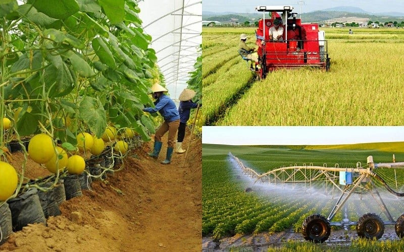Bộ Nông nghiệp và Môi trường sửa đổi 28 TTHC lĩnh vực đất đai từ 25/8/2025