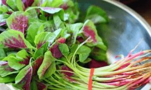 6 lý do nên thường xuyên ăn rau dền