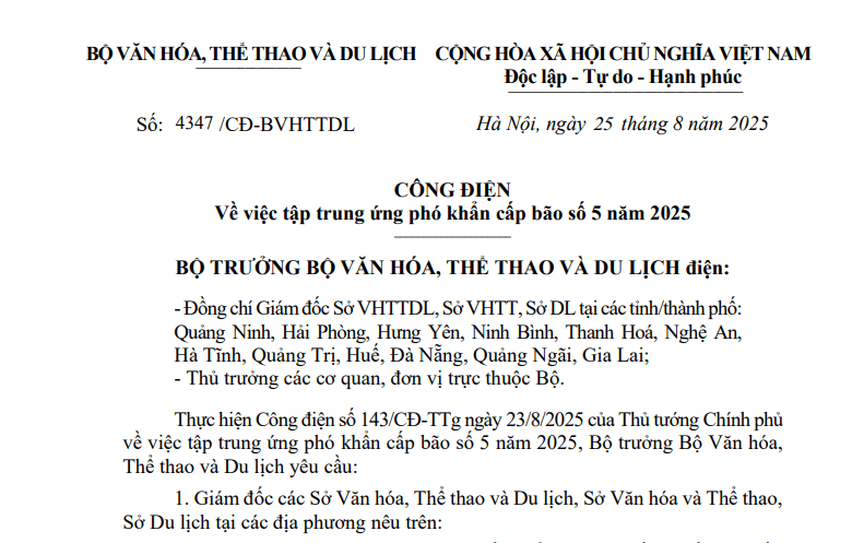 Đã có Công điện 4347/CĐ-BVHTTDL 2025 về việc tập trung ứng phó khẩn cấp bão số 5 (hình ảnh từ Internet)