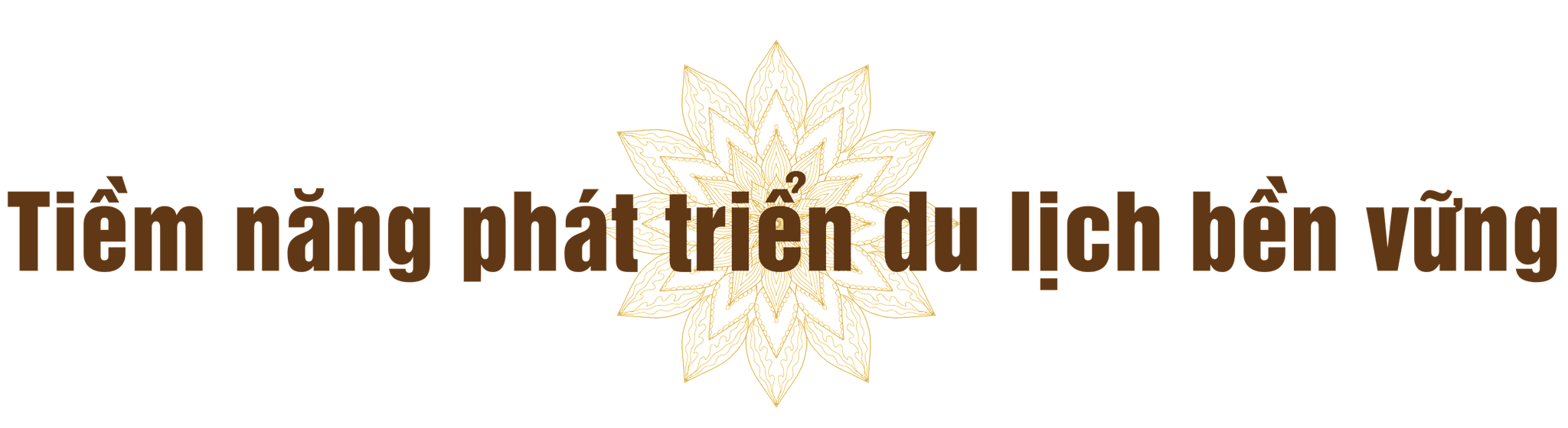 3(1).png