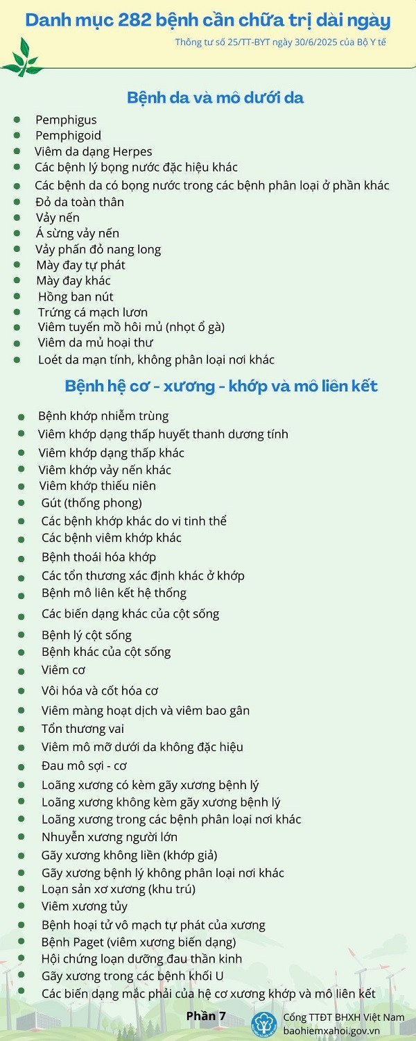 Mức hưởng trợ cấp ốm đau dài ngày và Danh mục bệnh cần chữa trị dài ngày- Ảnh 7.