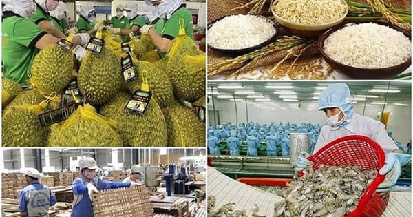 Chỉ đạo xây dựng, vận hành hệ thống truy xuất nguồn gốc, cơ sở dữ liệu chuỗi cung ứng sản phẩm nông, lâm, thủy sản (Hình ảnh từ Internet)