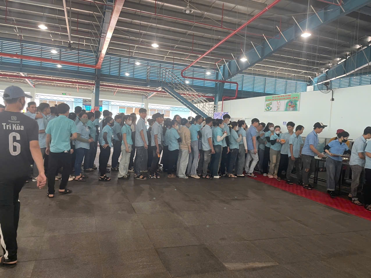 cd7.jpg