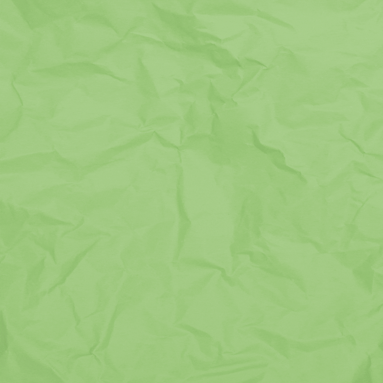 mắc ca