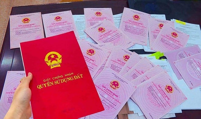 Sẽ có văn bản hướng dẫn về căn cứ thu hồi, giao, cho thuê đất theo Luật Đất đai 2024 (Hình ảnh từ Internet)