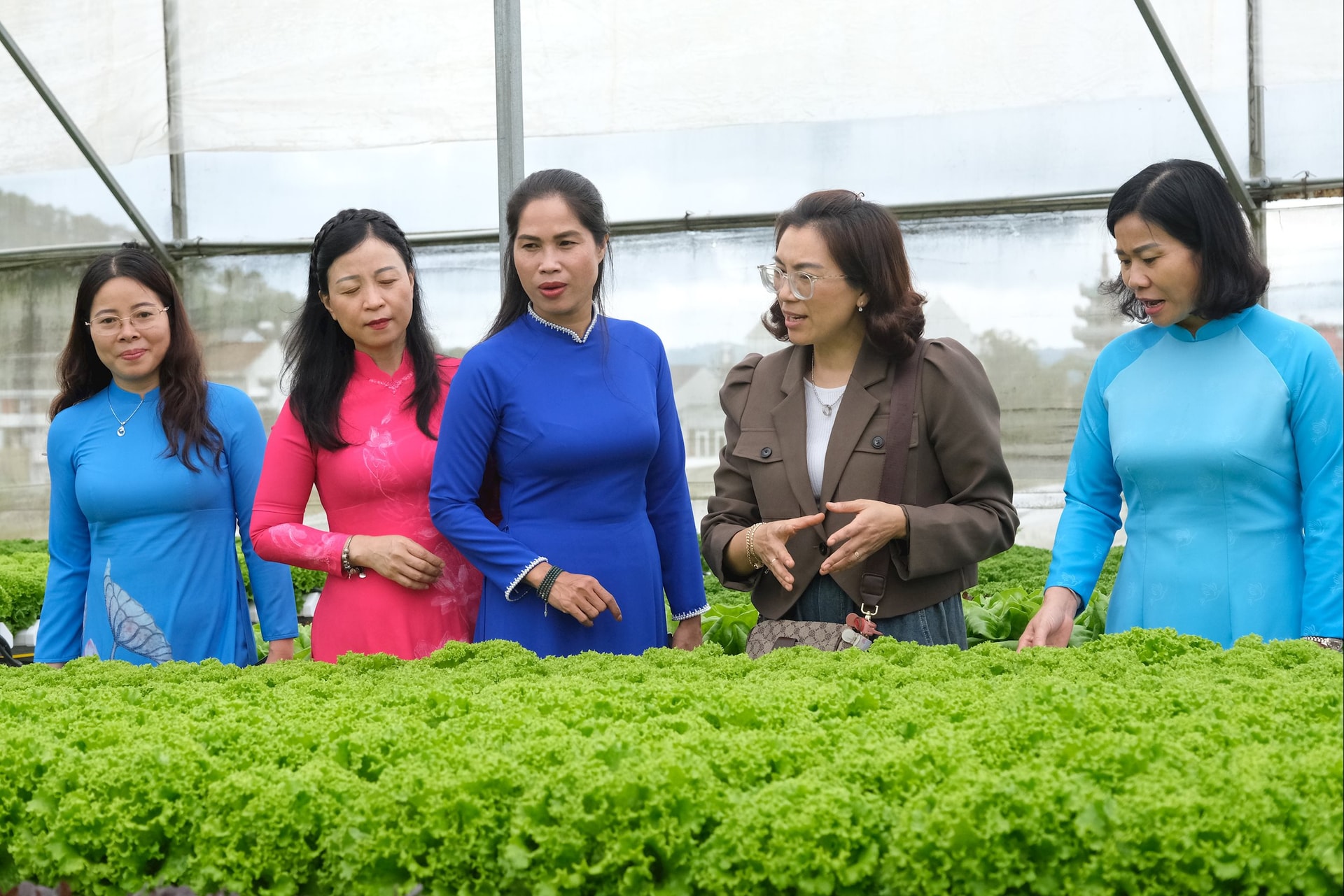 Tham quan hợp tác xã do phụ nữ làm chủ tại phường Xuân Trường -