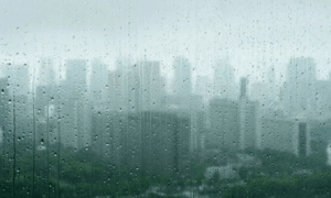 Loại mưa axit mới đang gây lo ngại cho giới khoa học