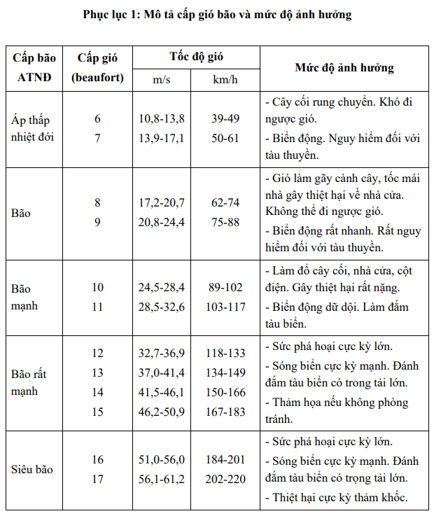 Tin ÁP THẤP NHIỆT ĐỚI trên Biển Đông và các chỉ đạo ứng phó- Ảnh 3.