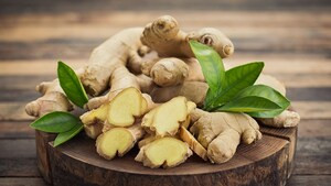 Nhỏ dầu gió vào gừng tươi có tác dụng gì?