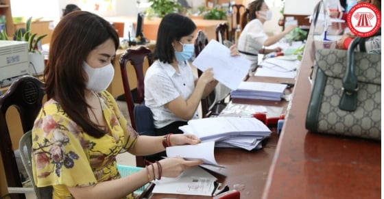 Quy định 362-QĐ/TW: Quy định mới về tổ chức bố trí cán bộ chuyên trách tại đảng bộ, chi bộ UBND cấp xã