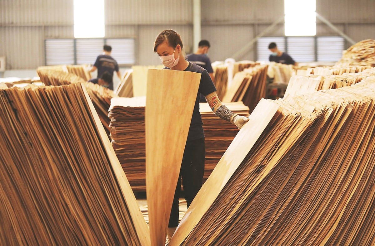 Mức thuế chống bán phá giá cho ván sợi gỗ Thái Lan và Trung Quốc từ 20/9/2025 